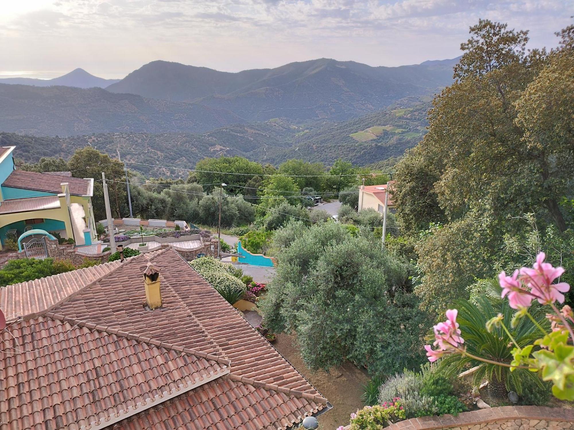 Appartamenti La Collina Jerzu Екстериор снимка